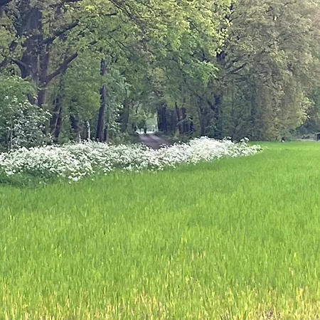 De Wanderije *